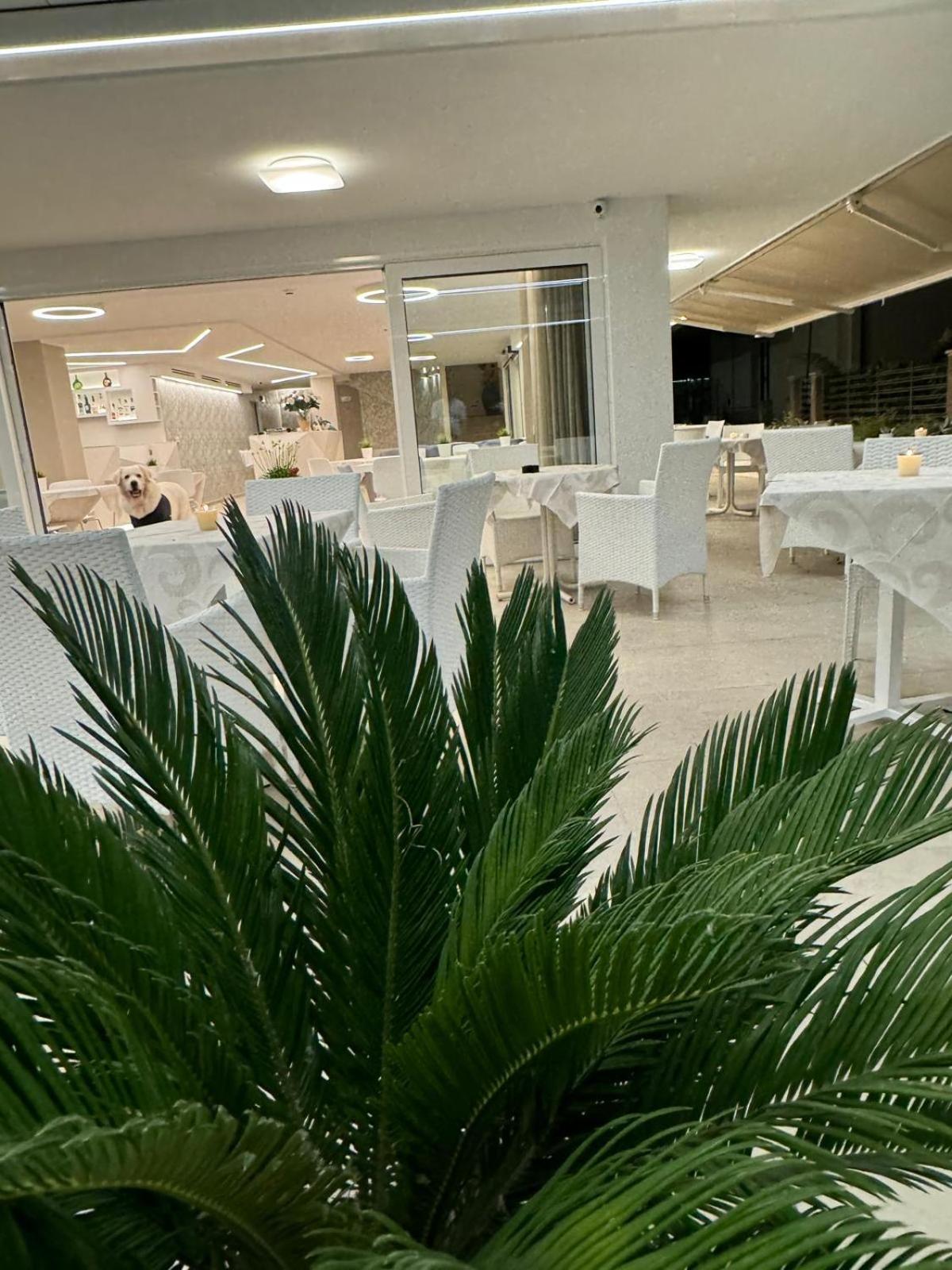 Hotel San Domingo Bellaria-Igea Marina Exteriér fotografie