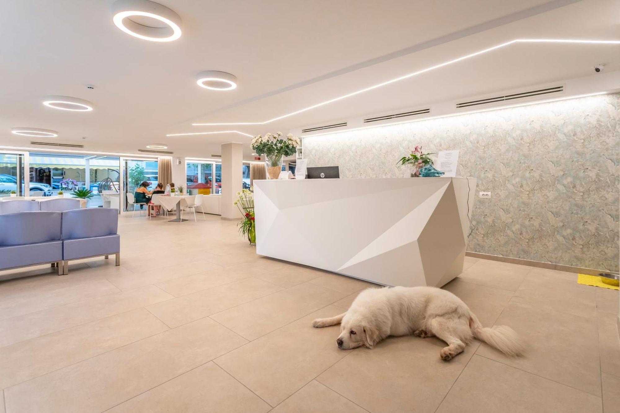 Hotel San Domingo Bellaria-Igea Marina Exteriér fotografie